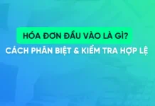 Hóa đơn đầu vào hợp lệ: cẩm nang toàn diện về các tiêu chí và yêu cầu